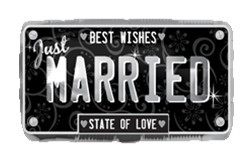 Just Married License Plate结婚牌照 