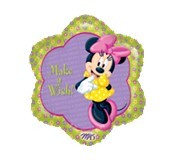 Minnie Make A Wish