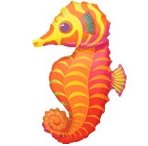 Seahorse海马   