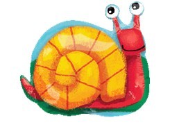 Snail蜗牛 