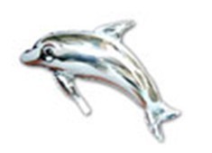 Silver Dolphin银海豚   
