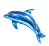 Ocean Blue Dolphin蓝海豚    