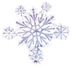 Prismatic Snowflake Cluster雪花   